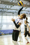 Тульские волейболистки готовятся к сезону., Фото: 19