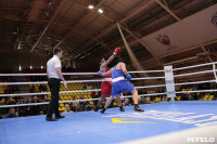Финал турнира по боксу "Гран-при Тулы", Фото: 175