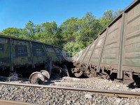 В Тульской области грузовой поезд сошел с рельсов, Фото: 21