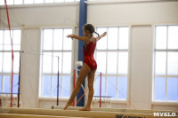 Спортивная гимнастика в Туле 3.12, Фото: 150