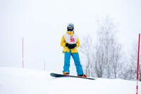 I-й этап Кубка Тулы по горным лыжам и сноуборду., Фото: 60