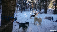 Зимний поход с собаками, Фото: 26