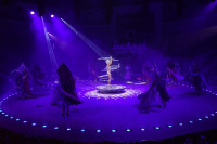 Премьера в Тульском цирке: шоу фонтанов «13 месяцев» удивит вас!, Фото: 18