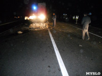 Авария на трассе Тула-Новомосковск ночью 6 октября, Фото: 2