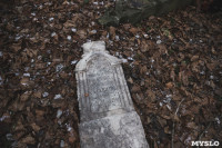 Кладбища Алексина зарастают мусором и деревьями, Фото: 39