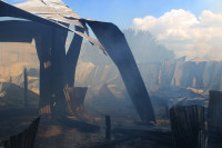 Пожар на хлебоприемном предприятии в Плавске., Фото: 26