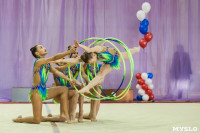 Всероссийские соревнования по художественной гимнастике на призы Посевиной, Фото: 83