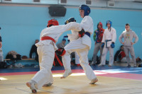 В Туле прошел традиционный турнир по рукопашному бою , Фото: 2