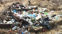 Поселок Славный в Тульской области зарастает мусором, Фото: 6