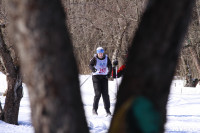 В Туле прошли лыжные гонки «Яснополянская лыжня-2019», Фото: 53