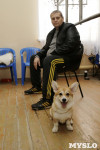 В Туле прошла Всероссийская выставка собак всех пород, Фото: 1