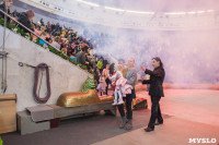 Из Тульского цирка эвакуируют зрителей , Фото: 25