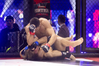 Битва за Тулу-2026, Фото: 128