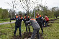 Сотрудники «ЕВРАЗ Ванадий» Тулы посадили деревья в Баташевском саду, Фото: 5