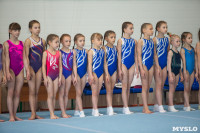 Соревнования по художественной гимнастике, Фото: 1