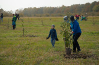 В Ясной Поляне посадили яблони, Фото: 71