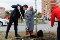 Администрация Тулы вместе с депутатами высадили клёны во дворе дома для военнослужащих в Туле, Фото: 24