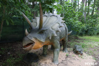 В Туле появился парк с интерактивными динозаврами, Фото: 8