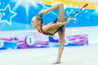 Тула провела крупный турнир по художественной гимнастике, Фото: 185