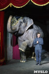 Пресс-конференция "Шоу слонов", Фото: 33