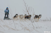 Гонки на собачьих упряжках «Большой тур» на Куликовом поле, Фото: 46