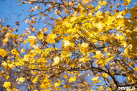 Золотая осень в Ясной Поляне, Фото: 47