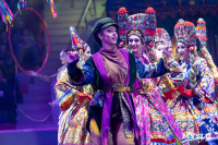 Цирковое шоу Жар птица, Фото: 4