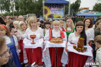 Алексей Дюмин посетил Епифанскую ярмарку, Фото: 9