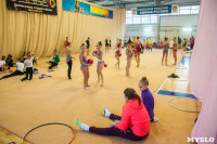 Соревнования по художественной гимнастике "Тульский сувенир", Фото: 15