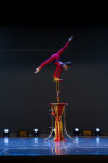 В Туле пройдет Международный детский и молодежный цирковой фестиваль «На языке мира», Фото: 13