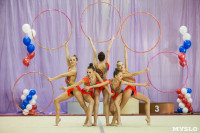 Всероссийские соревнования по художественной гимнастике на призы Посевиной, Фото: 109