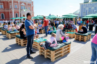 Фестиваль СВОЕ в Тульском кремле, Фото: 33