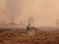 В Федоровке огонь с горящего поля едва не перекинулся на дома, Фото: 15