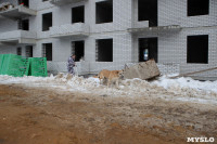 Отлов бездомных собак в Туле и области: «Континент+» рассказал об особенностях работы, Фото: 5