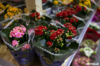 Леруа Мерлен Цветы к празднику, Фото: 9
