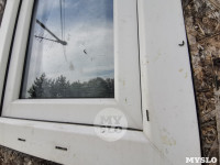 Деревню под Тулой атаковали прожорливые гусеницы , Фото: 12