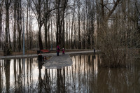 В Туле затопило Баташевский сад, Фото: 11