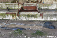 С заброшенных очистных канализация много лет сливается под заборы домов, Фото: 13