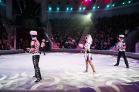 "Чудеса под Новый год" в Тульском цирке, Фото: 20