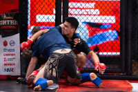 В «Тула-Арене» состоялись областные соревнования по ММА, Фото: 126