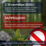 Складирование растительных отходов на контейнерных площадках, Фото: 3