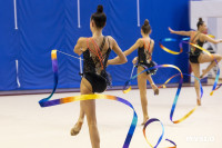 В Туле стартовало первенство Центрального федерального округа по художественной гимнастике, Фото: 76