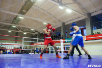 Первенство ЦФО по боксу среди юношей, Фото: 12