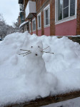 Туляки делятся фотографиями своих снеговиков, Фото: 10