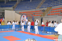 Тульские каратисты на соревнованиях в Сербии, Фото: 2