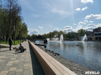 «Узелок» на Свиридовском пруду в Узловой, Фото: 1