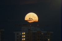 Осетровая Луна 2025, Фото: 18