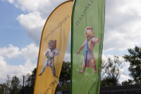 Кимовск-Донской-Новомосковск-Узловая, Фото: 52