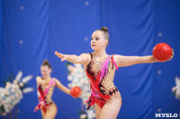 Соревнования по художественной гимнастике на призы благотворительного фонда «Земляки», Фото: 84