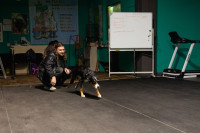 Хвостатые волонтеры: как собаки ищут пропавших живых и мертвых, Фото: 9